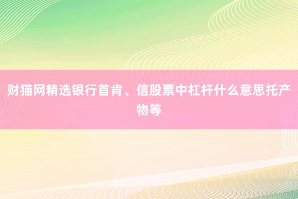 财猫网精选银行首肯、信股票中杠杆什么意思托产物等